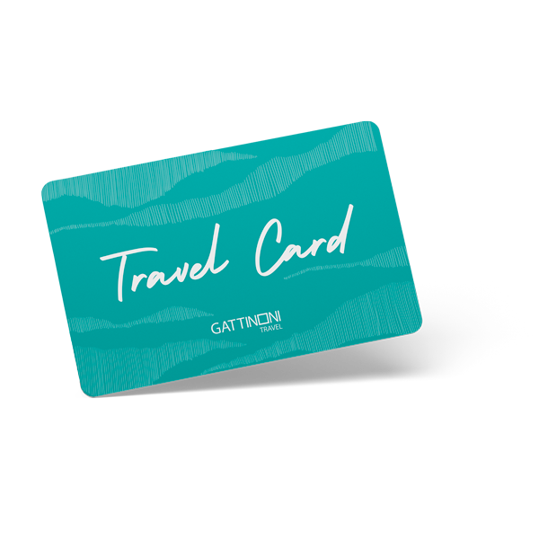 Travel card image